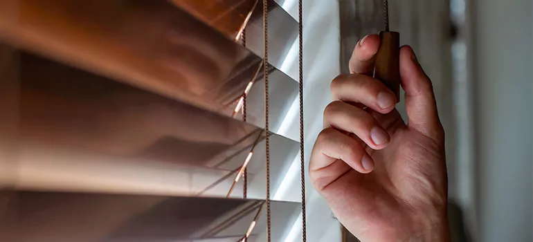 Double Roller Blinds in Cutler Bay, FL
