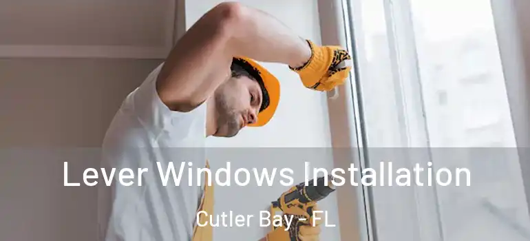  Lever Windows Installation Cutler Bay - FL