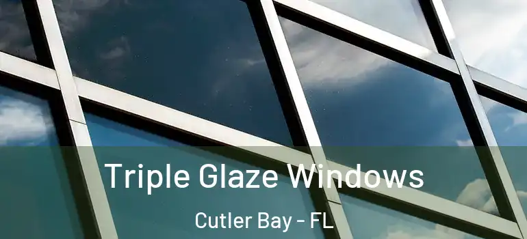  Triple Glaze Windows Cutler Bay - FL